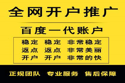 某行业领军企业的SEM广告投放策略